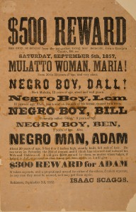Escaped Slave Reward Poster