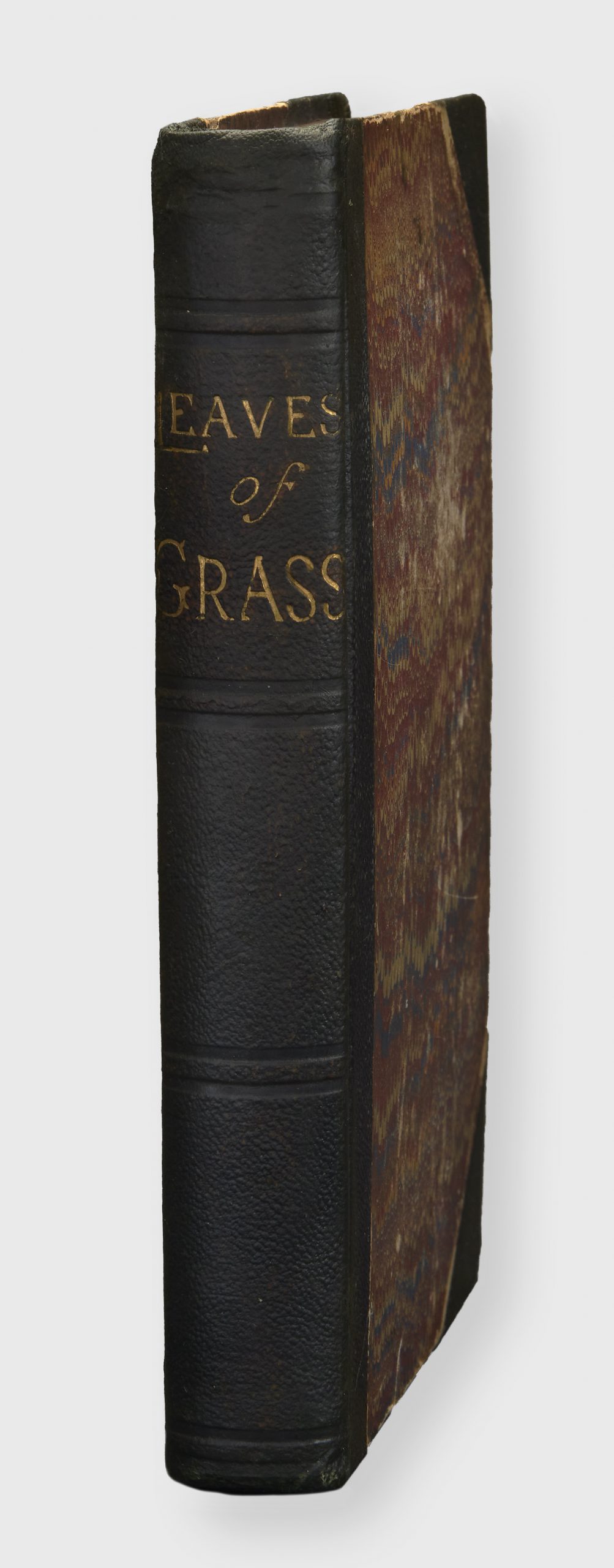 leaves of grass controversy